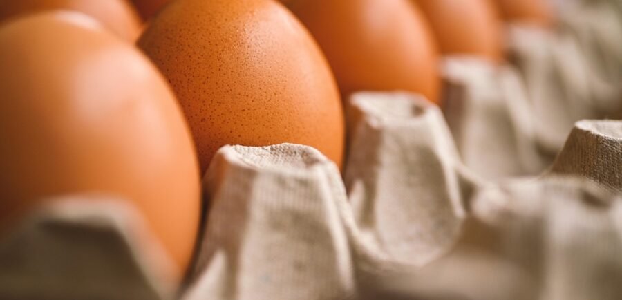 egg, egg holder, reproduction, chicken egg, food, storage, baking, cooking, egg, egg, egg, egg, egg